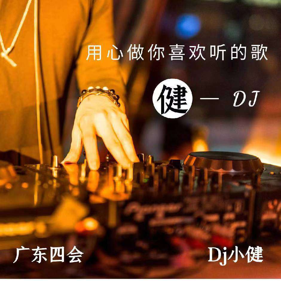 广四Dj小健-全国语慢歌版请尽情沉醉在诗情画意的歌里吧国风串烧