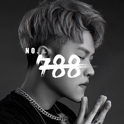 The Weeknd  Ariana Grande - Die For You (NO.788 Remix)